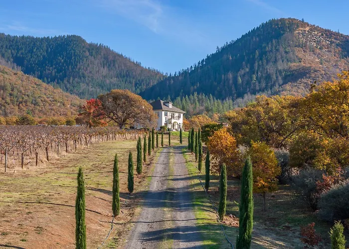 Starry Oak Vineyard Retreat W Hot Tub
