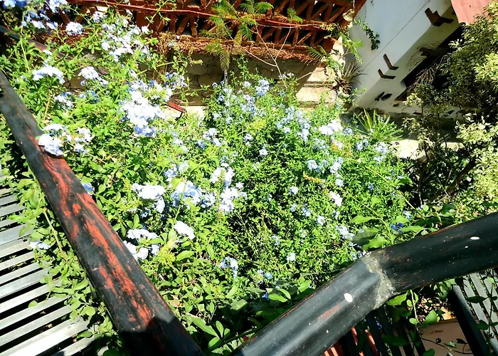 El Bello Jardin De Chela