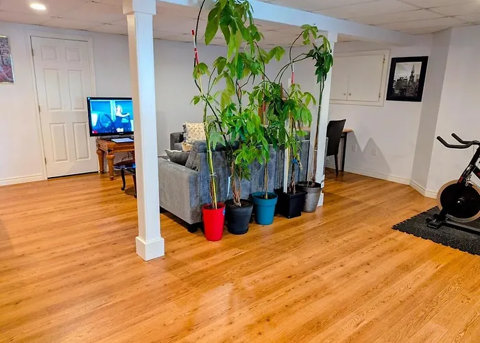 The Convenient Suite