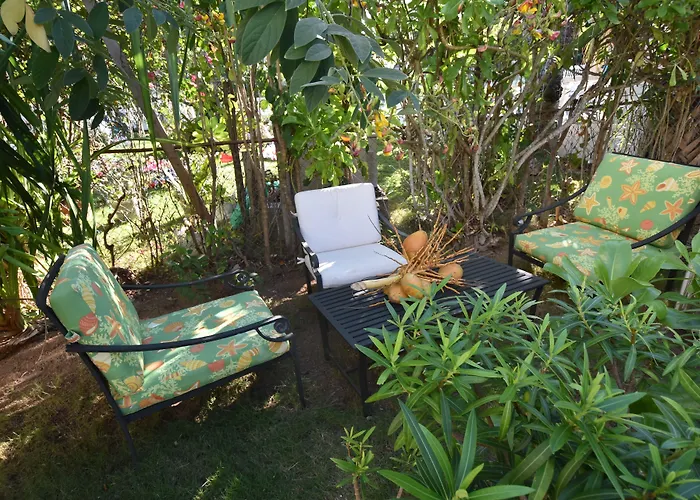 The Sugar Apple Lodging