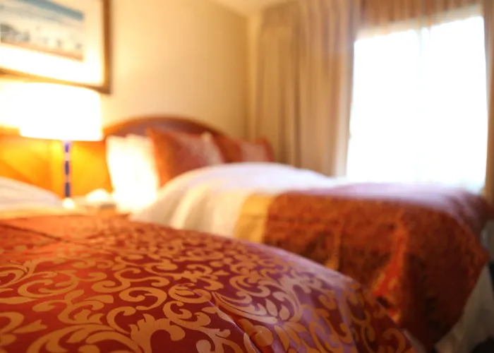 Arcadia Hotel