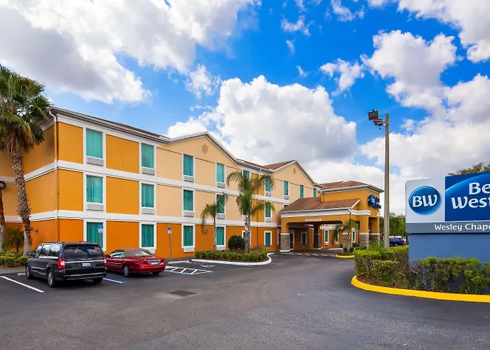 Best Western Wesley Chapel
