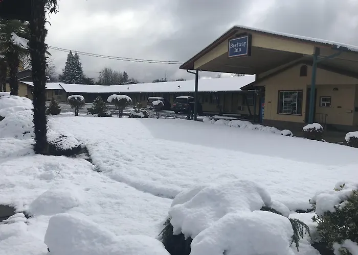 Bestway Inn