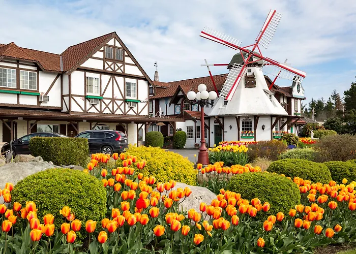 Auld Holland Inn