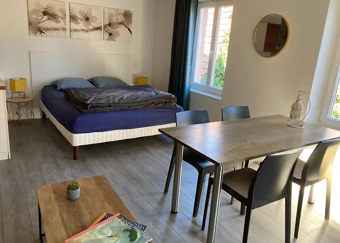 Appartement Tout Confort, Avec Terrasse