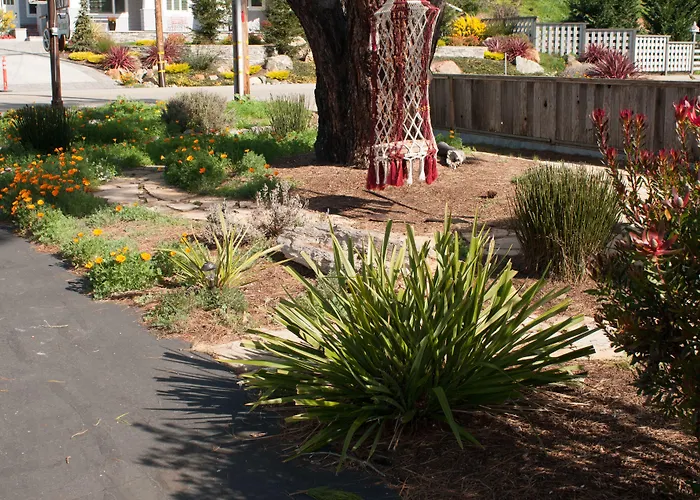 Cambria Palms Motel