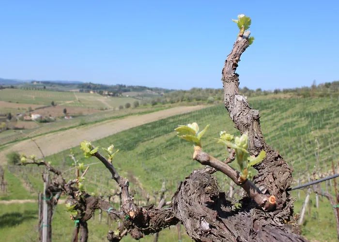 Bio Agriturismo Podere Pretoia