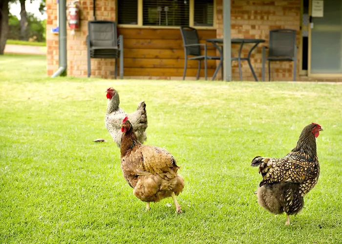 Peppermint Brook Cottages