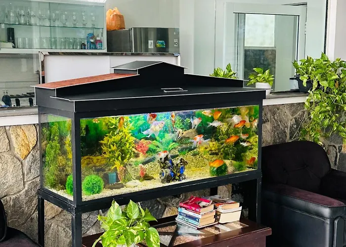 Funwhales Rest House