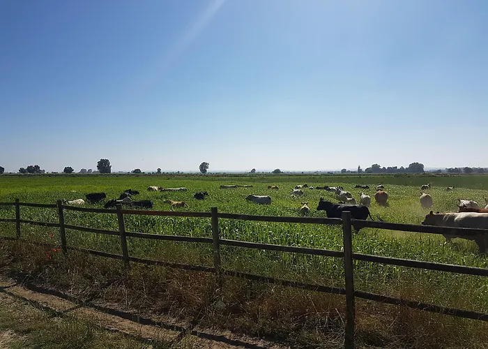 Quinta da Gafaria