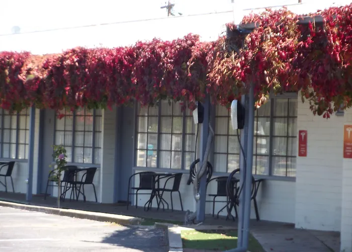 Guichen Bay Motel