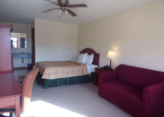 Huggy Bear Motel - Warren