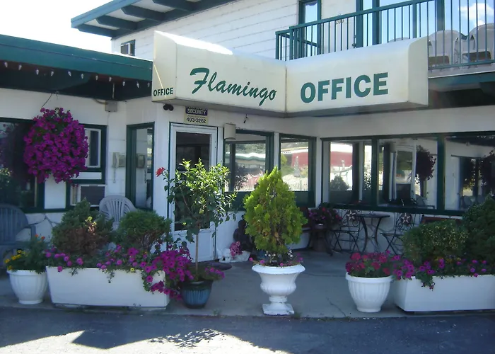 Flamingo Motel