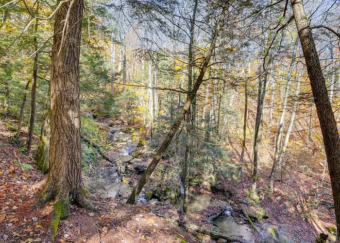 Wilmington Vacation Rental Near Hiking And Skiing!
