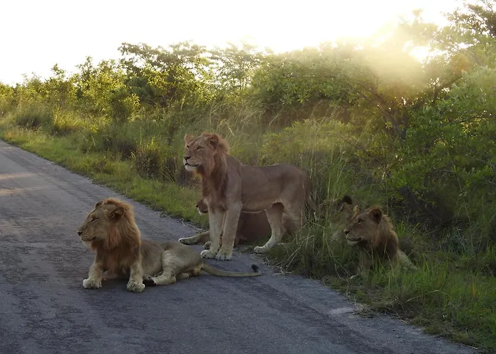 Khululeka Safaris Lodge