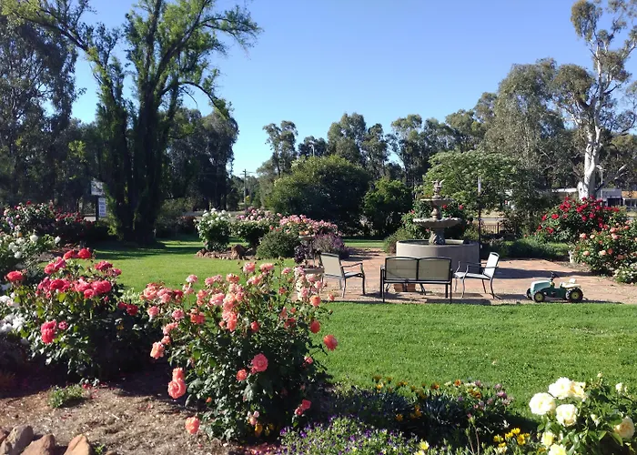 Newell Motor Inn Narrandera