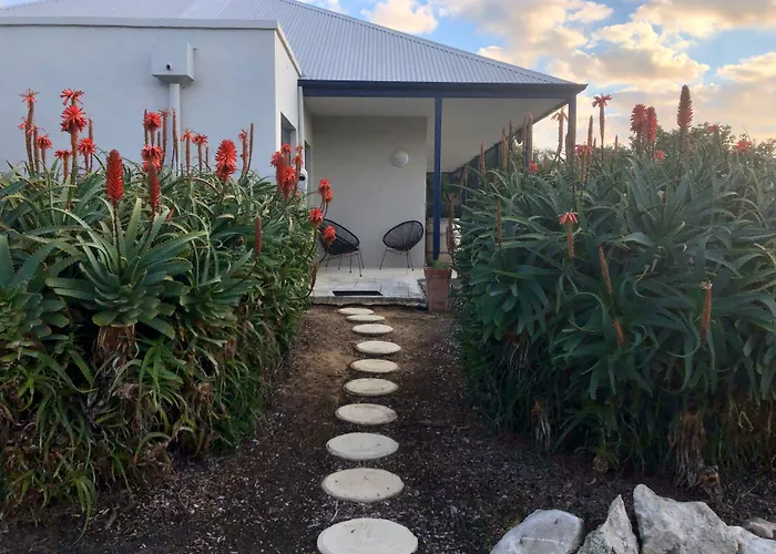 Surfpoint Resort