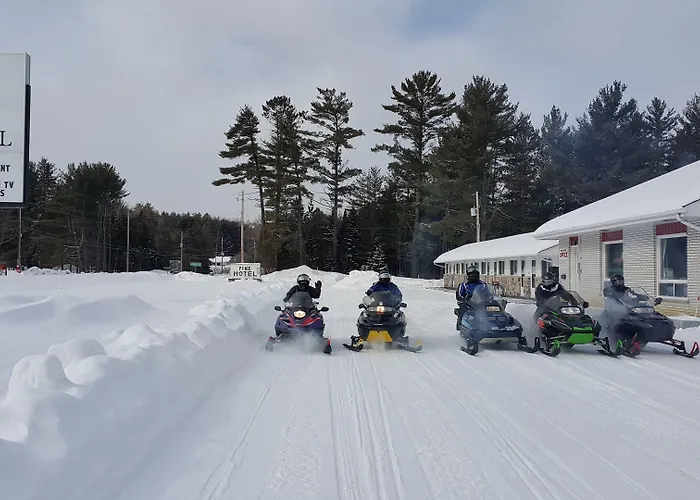 Pine Motel