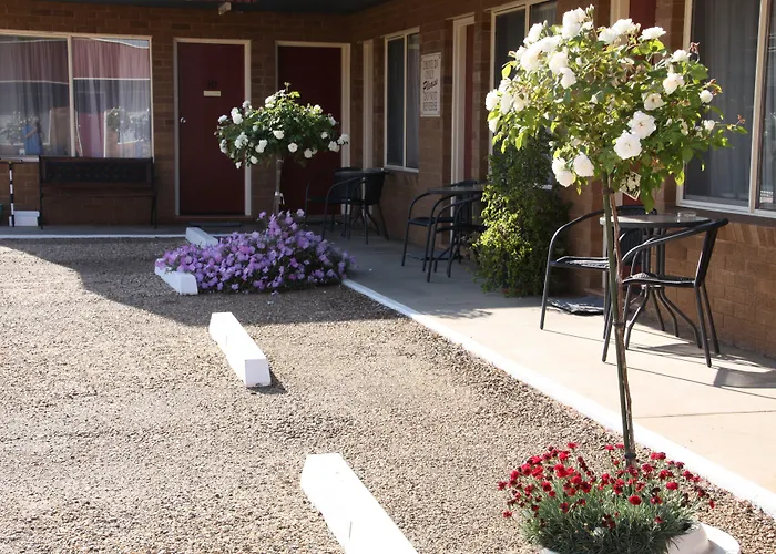 Camellia Motel