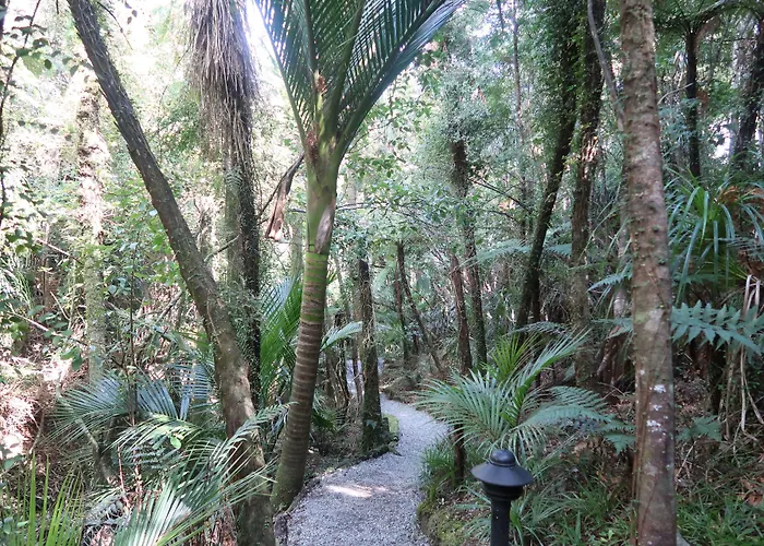 Te Nikau Retreat