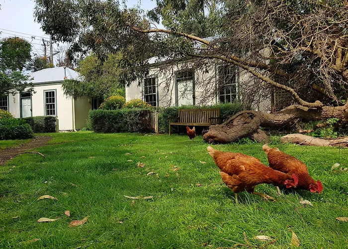 Clonmara Country House And Cottages