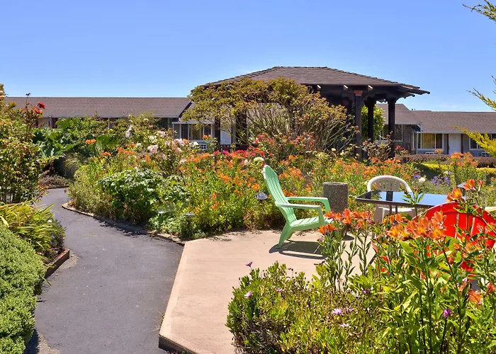 Surf Motel And Gardens