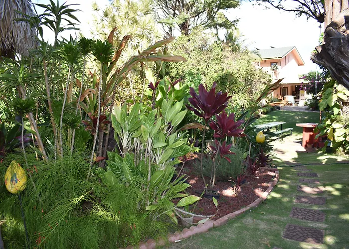 Nona Lani Cottages