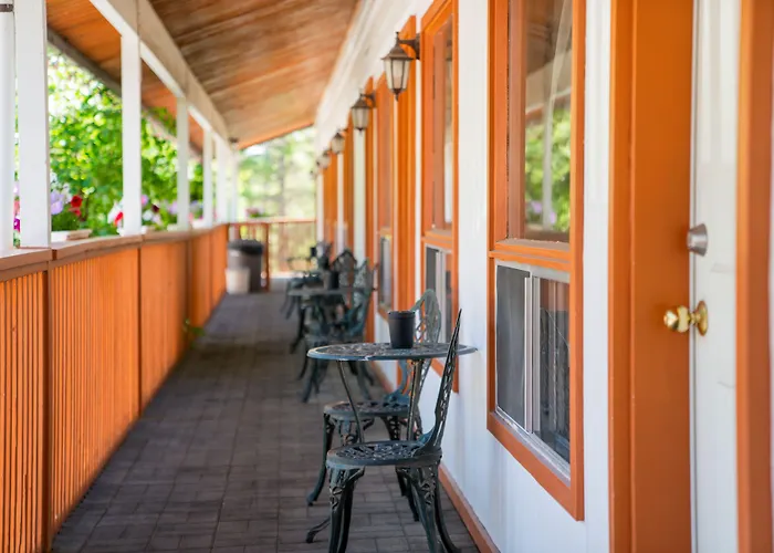 Cedar Motel