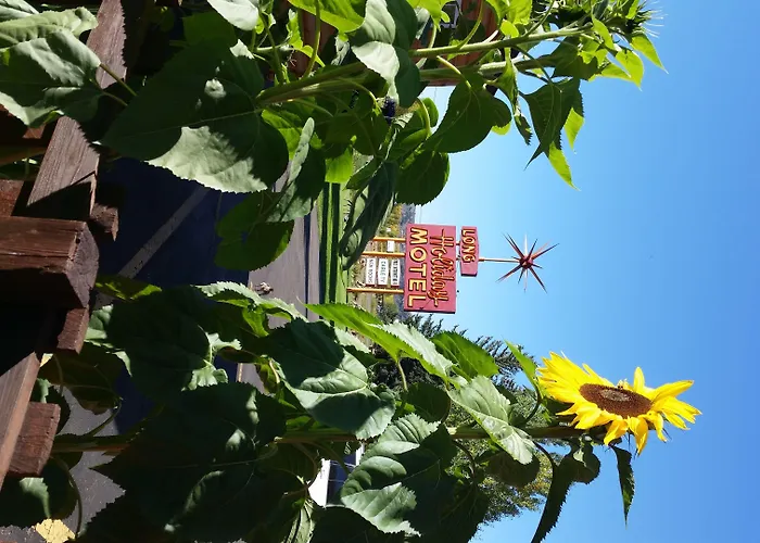 Long Holiday Motel