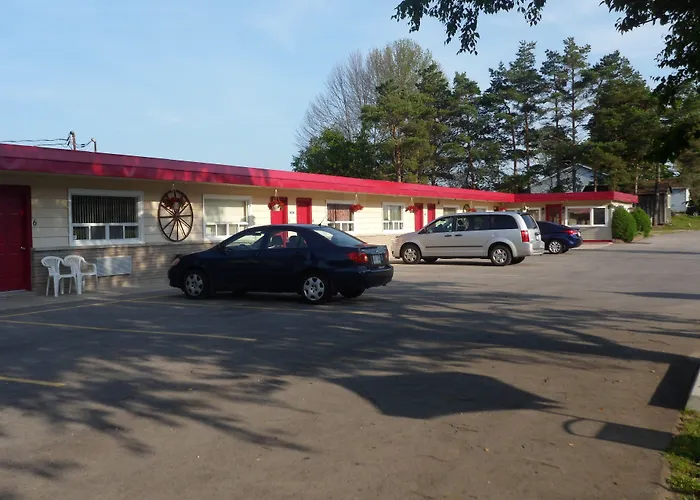 The Silver Birch Motel