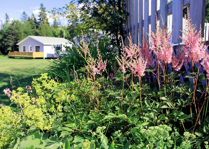 Hidden Acres Cottages