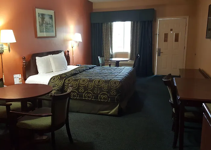 Texas Inn Alamo