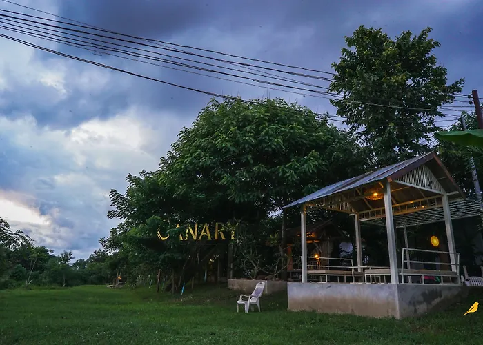Canary Guesthouse