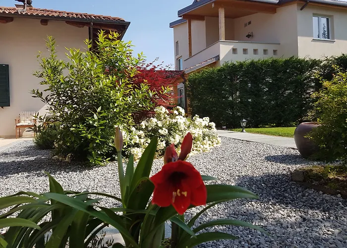 La Rosa Gialla Bio Apartments & Rooms