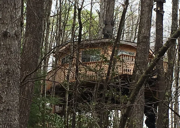 Country Road Cabins