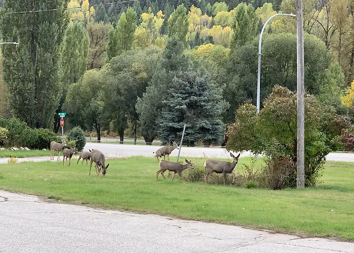 Green View Motel And Rv Park