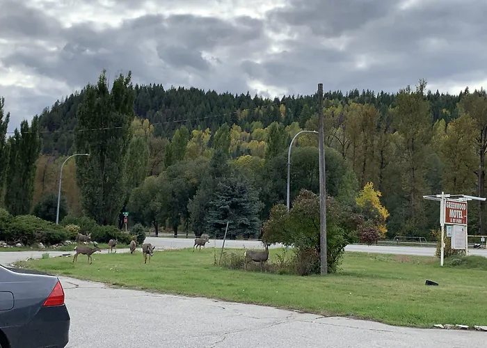 Green View Motel And Rv Park