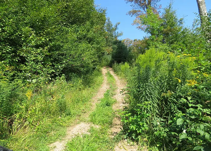 Tug Hill Resort