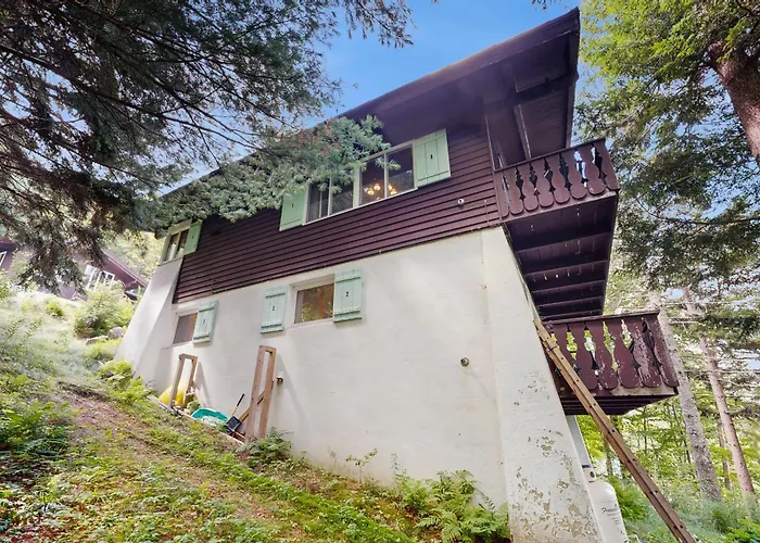 4 Bed 2 Bath Vacation Home In Franconia