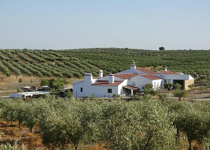 Monte Da Estrela - Country House & Spa