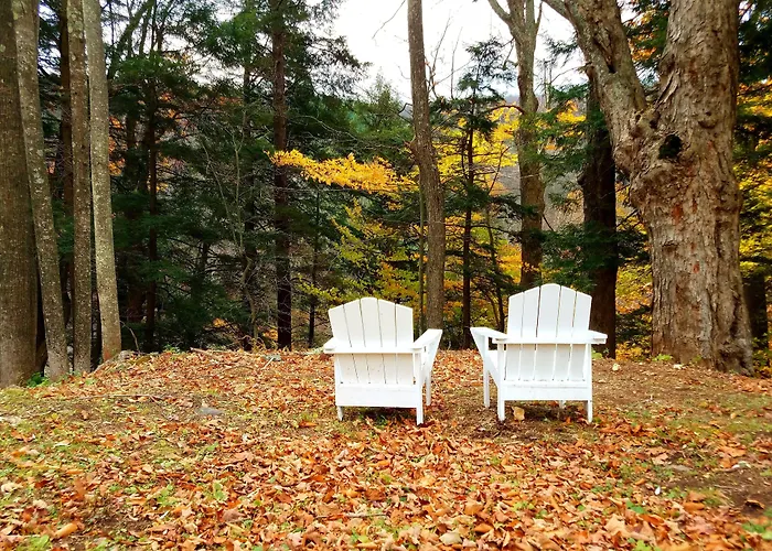 Black Bear Lodge