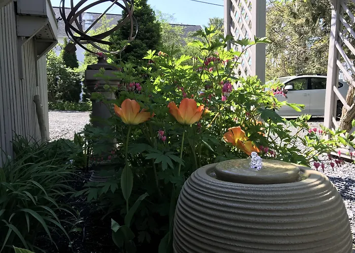 Dragonfly Guest House
