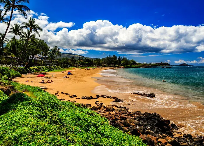 Rare Upscale 2Br 2Ba Kuau Paia - Walk To Beach!