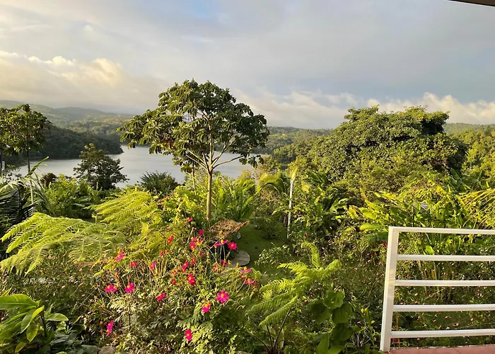 The Fruit Tree Garden Bromeliad Suite