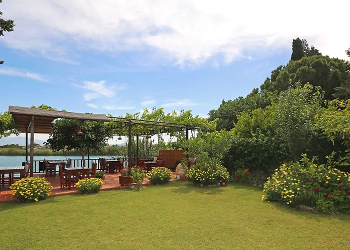 Midas Pension