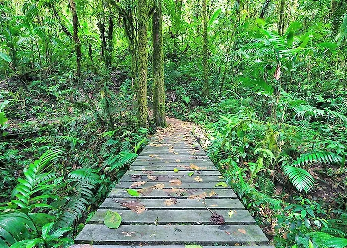 Nature'S Edge Boutique Hotel