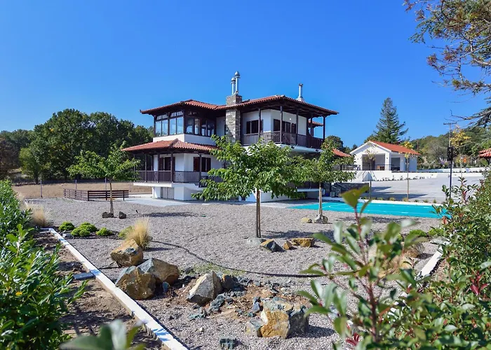 Vita Sacra Wellness