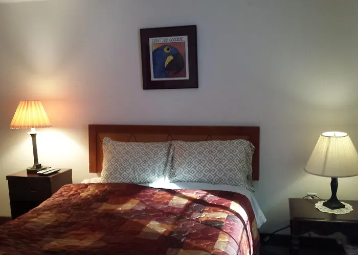 Shiny Motel