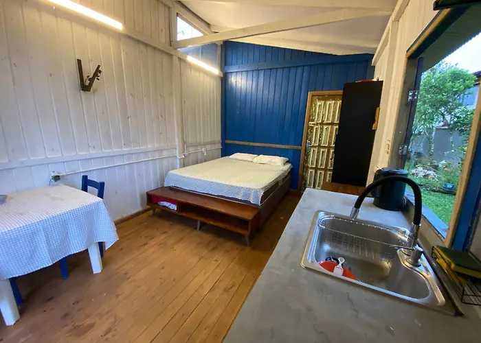 Cabana da palmeira