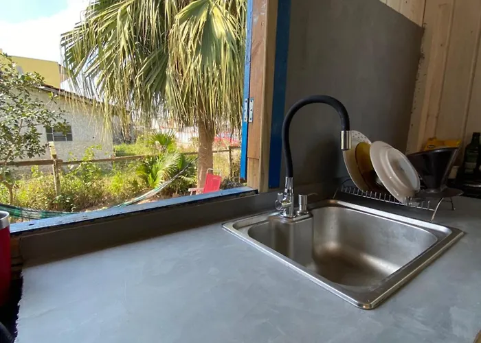 Cabana da palmeira